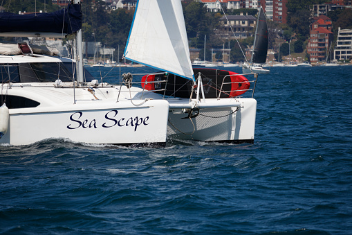 Sydney, NSW, Australia. October 3, 2020: Catamaran motoring in Sydney harbor on a bright sunny day, with backdrop of Double Bay & Point Piper