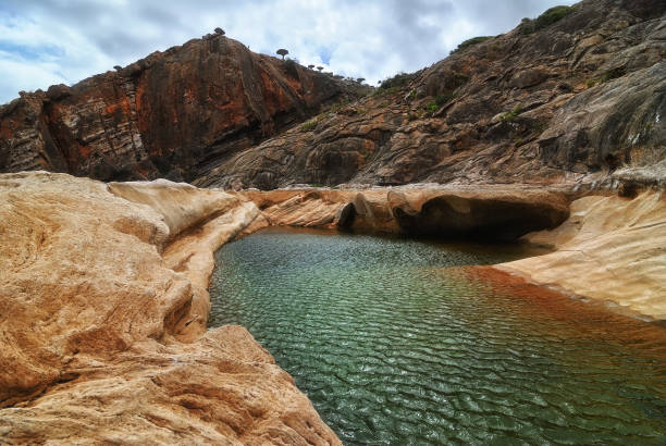 istock Socotra island 1289378560