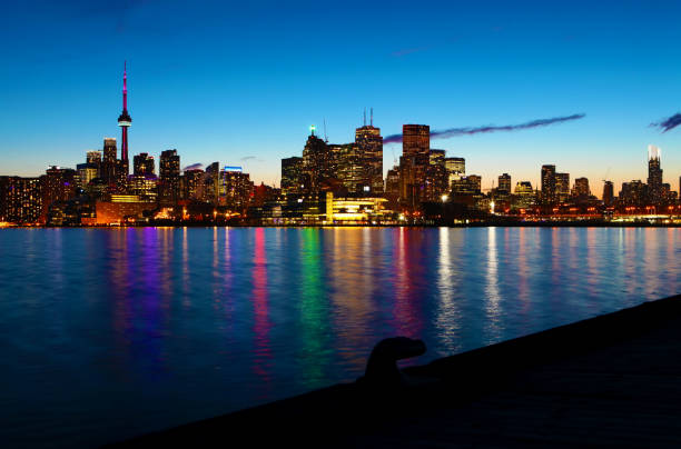 istock The Toronto, Canada skyline at night with reflections 1289382625