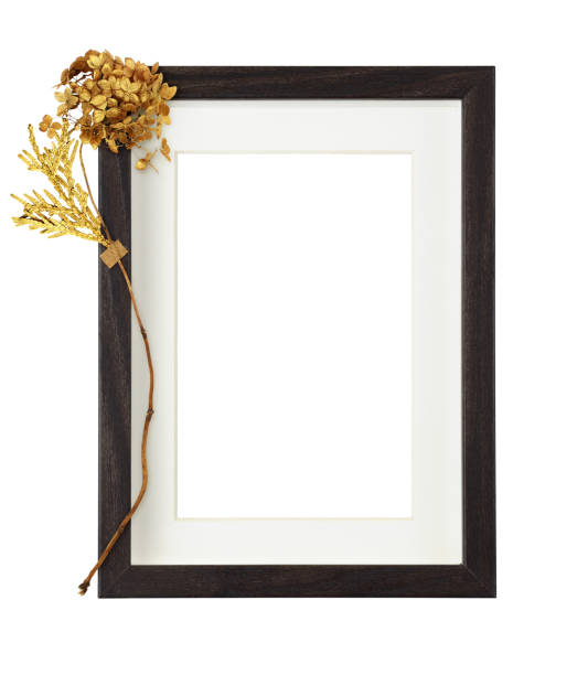 istock Dark brown wooden rectangle frame with white passe-partout and dry golden hydrangea flower isolated on white background. 1289383559
