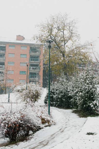 istock Turin in the snow, winter 2020 1289383756