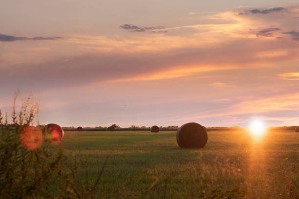 오클라호마 상공의 일몰 - oklahoma agriculture landscape nature 뉴스 사진 이미지