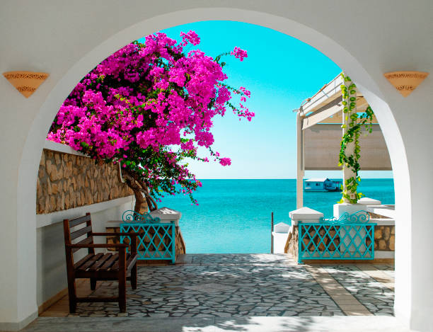 Sea view on the territory of the hotel of Tunisia. A view of the blue sea of ​​Tunisia through a white archway with pink blooming flowers in the foreground. In the distance a house on the water. mediterranean sea stock pictures, royalty-free photos & images