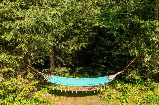 istock Hammock attached to trees in the forest 1289391688