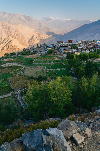 Elevated view of village agricultural fields with dry stone walls with rugged Himalayas in background on bright summer morning in Nako, Himachal Pradesh, India.