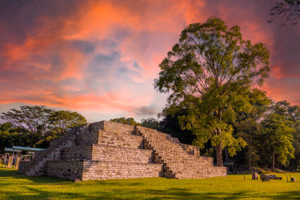 A Mayan pyramid next to a tree at the Copán Ruinas temples in a beautiful orange sunrise. Honduras stock photo