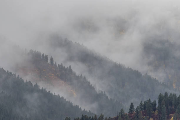 istock Scenic Fall Landscape Along the Snake River Idaho 1289393840