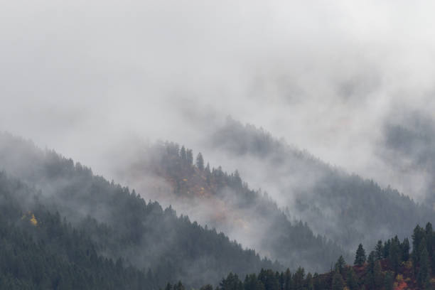 istock Scenic Fall Landscape Along the Snake River Idaho 1289394489