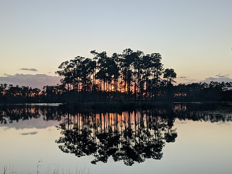 Island at Long Pine Key Campground at sunset, located in Everglades National Park Florida