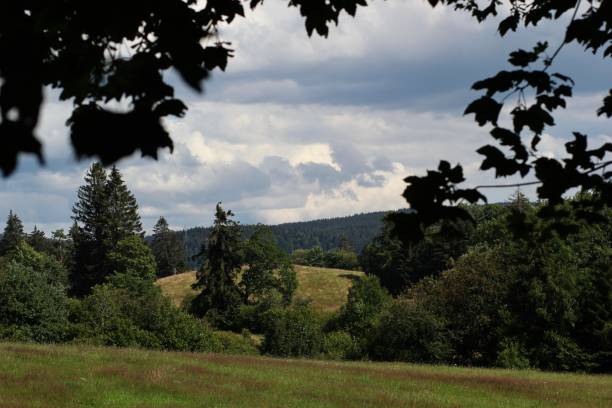 istock High Vosges - Dark plain and mountain landscape 1289402840