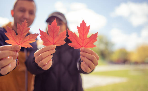 カナダ国民 - canada canadian culture leaf maple ストックフォトと画像