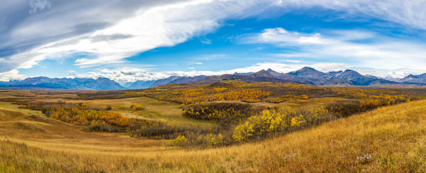vast prairie and forest in beautiful autumn. waterton scenic spot, alberta, canada. - national grassland imagens e fotografias de stock