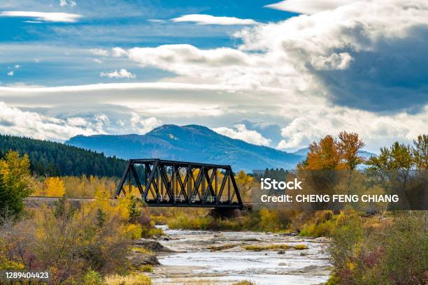 Crowsnest River In Autumn Foliage Season Stock Photo - Download Image Now - Alberta, Canada, Autumn