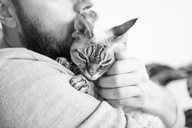 istock Close-up of beard man who holds his cute purring Devon Rex cat. 1289404631