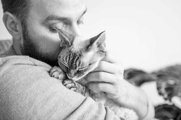 istock Black and white photo of beard young  man cuddling cute Devon Rex kitty. Spending time with cat 1289404643