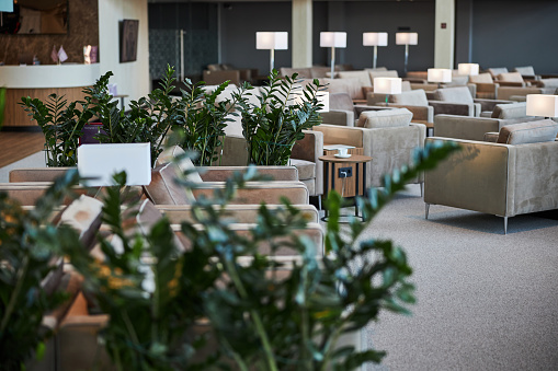No people photo of a luxurious business lounge zone of a modern international airport. Armchairs plants and lamps