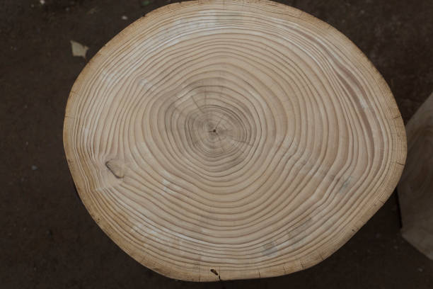 close-up wooden cut texture with burning frame
