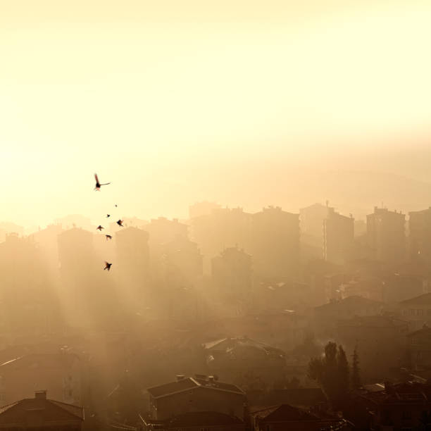 istock Air pollution and cityscape 1289411155