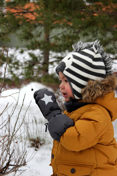 istock boy on a walk in winter near the bush 1289415610