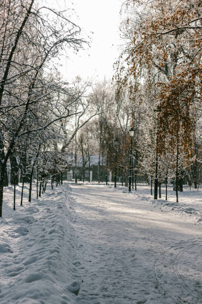 istock snowfall in the Park on a Sunny day 1289416954