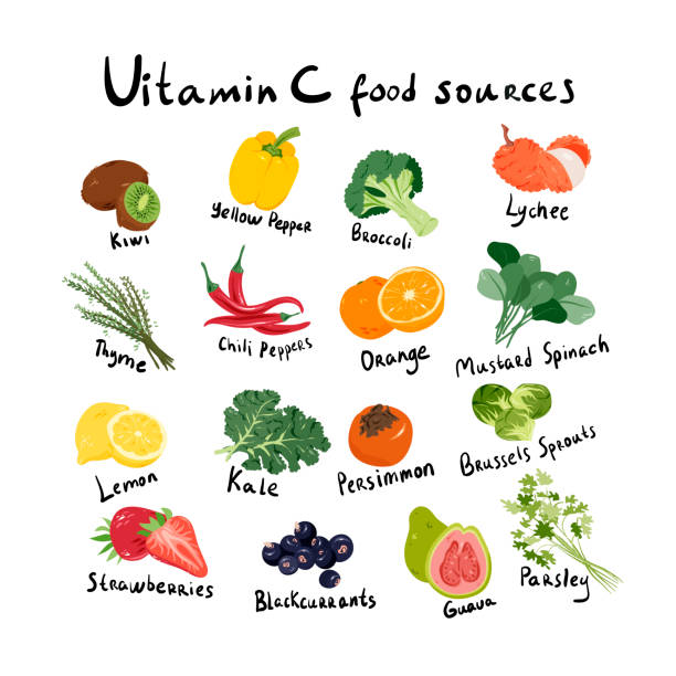 Vitamin C food sources information banner vector illustration. Ascorbic acid medical banner. Vegetables and fruits set in cartoon style isolated on white. Different greens and citruses. vitamin c stock illustrations