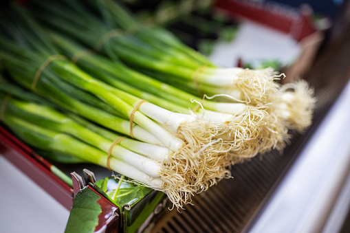Close-up of fresh scallions. Bunch of vegetable for sale at deli. It is on shelf in grocery store.