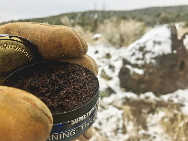 long cut mint chewing tobacco can and winter outdoors in western colorado photo series - snuff box imagens e fotografias de stock