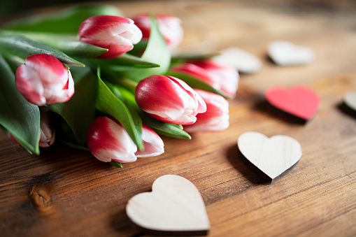 Background of Tulips on wooden background.