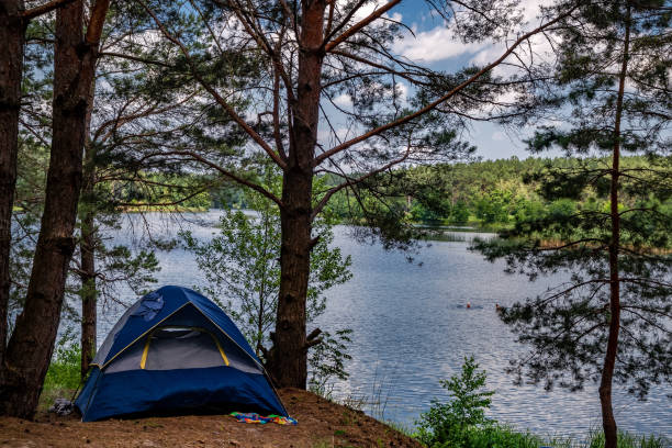istock Tourist tent in a pine forest on a summer sunny day 1289426724