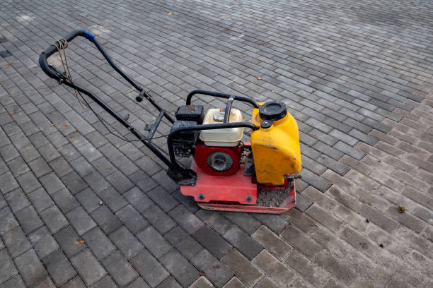 istock Vibrating plate compactor machine at a construction site. Equipment for soil thrombosis. Compaction work on sand, earth or asphalt 1289426728