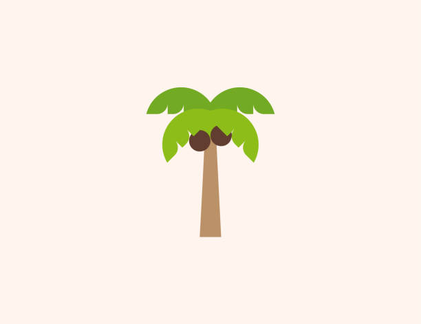 значок вектора пальмового дерева. изолированный кокосовый орех, дата пальмовое дерево плоский цветной символ - вектор - palm tree tree isolated landscaped stock illustrations