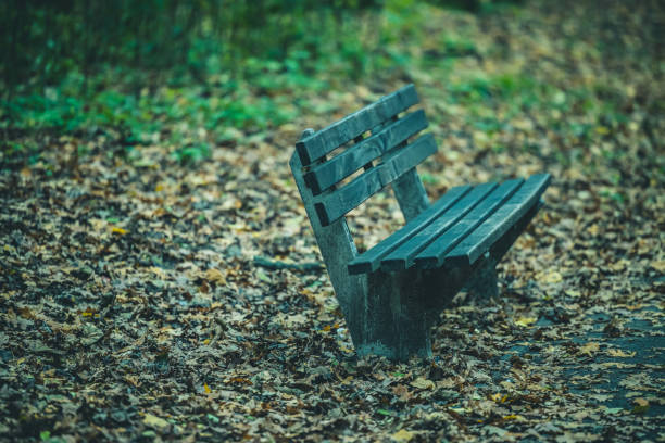 istock Lonely bench in autumn park 1289428555