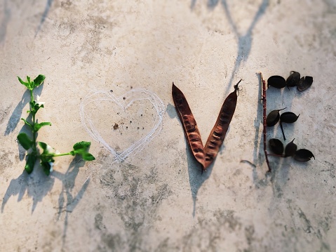 Love letters spelled with leafes, chalk, flowers and seeds