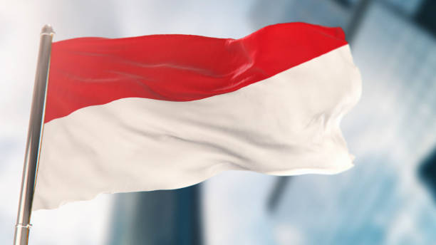 焦点が焦点がけもれた都市の建物に対するインドネシアの国旗 - インドネシア国旗 ストックフォトと画像
