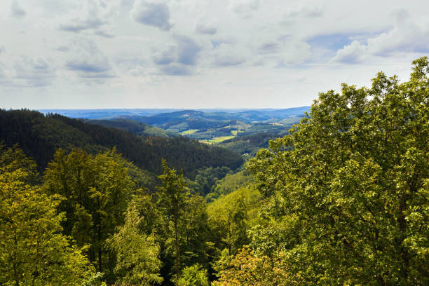 istock sauerland mountains in the summer 1289433328
