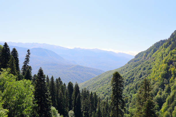 istock Mountain landscape green valley on summer day 1289439449
