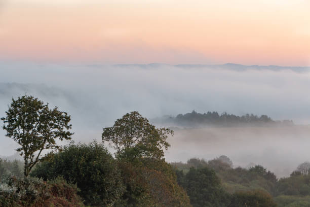 istock Countryside under the fog in Brittany 1289439705