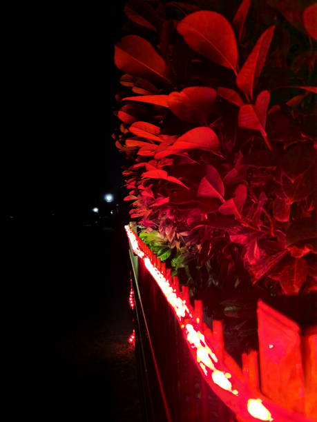 istock Christmas illuminated decoration in a front yard at night. 1289440750