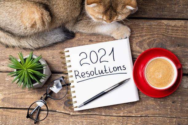 istock New year resolutions 2021 on desk. 2021 resolutions with notebook, cute cat, coffee cup, eyeglasses, succulent on wooden background. Goals, plan, strategy, list, idea, cozy home 1289440979