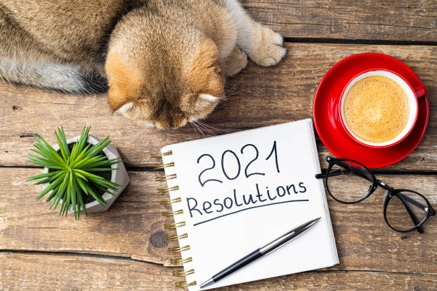 istock New year resolutions 2021 on desk. 2021 resolutions with notebook, cute cat, coffee cup, eyeglasses, succulent on wooden background. Goals, plan, strategy, list, idea, cozy home 1289441599