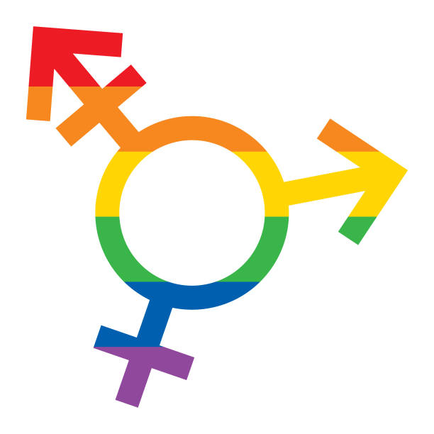 ilustraciones, imágenes clip art, dibujos animados e iconos de stock de arco iris rayado lgbtq símbolo - símbolo de género