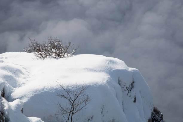 Show and clouds on Dry Mountain, Serbia