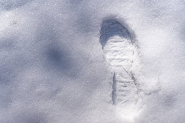 istock Shoe marks in the snow 1289444456