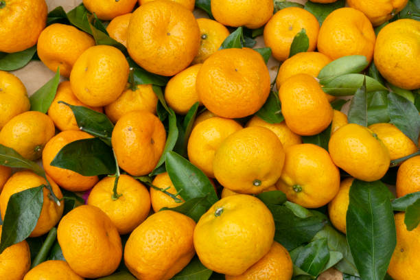 istock Citrus fruits in large quantities 1289445130