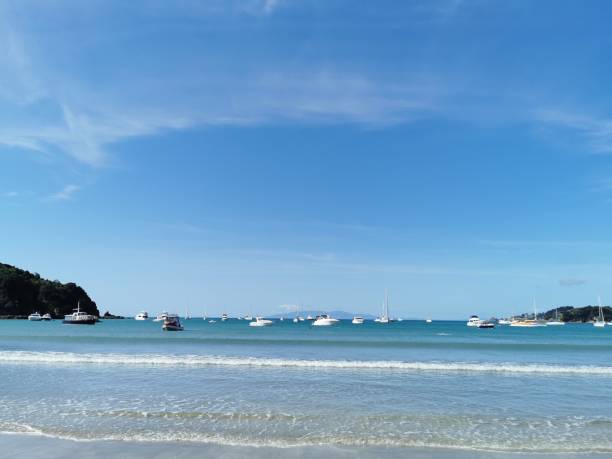 istock Waiheke Island 1289445198