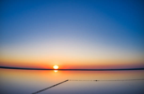 istock Pink salt lake top view 1289445537