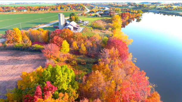 istock Breathtaking Autumn colors, waterfront foliage, aerial flyover. 1289447549