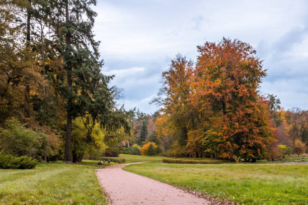 istock Autumn colors in the park 1289452108