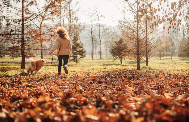 秋の公共公園で彼女のチャウ犬と楽しんでいる一人の陽気な女性 - chow domestic animals animal beautiful ストックフォトと画像