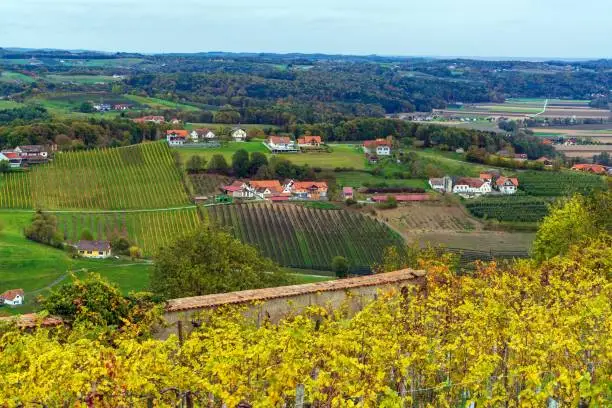 Vineyards surrounding medieval castle Riegersburg, Styria, Austria